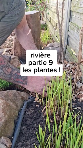 #riviere #jardin #diy #garden