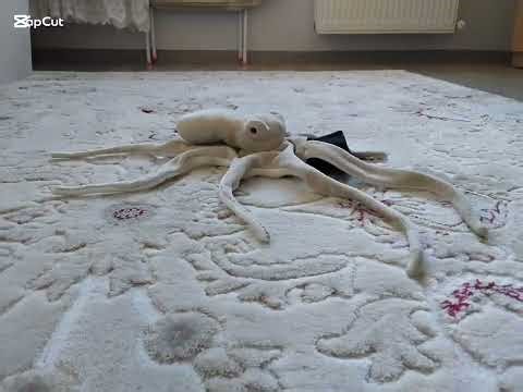 stop motion octopus
