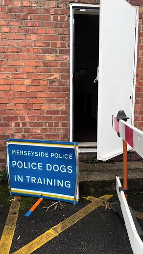 🐾 We have some new four-legged recruits! 🐾 They are currently halfway through their 13-week training course to become fully licensed General Purpose Police Dogs (GPDs) - and they are already showing incredible promise! 📸 Here is a sneak peek of them in action earlier this week. From tracking human scent and locating discarded items, to searching buildings and detaining fleeing suspects - these pups are learning it all with agility and obedience. 🎓 We can’t wait to introduce them properly onc