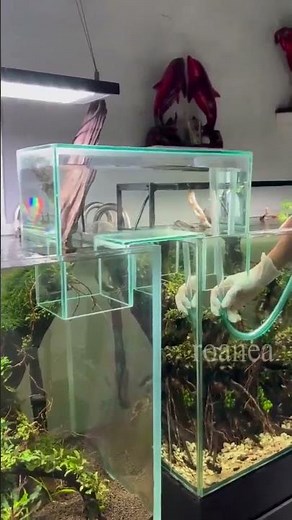 How to connect two fish tanks with a modular expansion