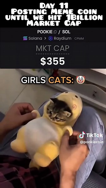 Day 11 of posting my meme coin until we hit 1 Billion market cap #meme #solana #cat #memecoin #cutecat