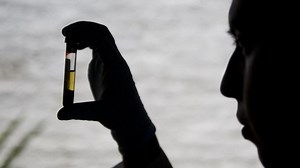 La región del Chocó, a la cabeza de los casos de malaria en Colombia