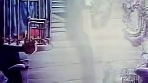 The Wonderful World of Disney - S18E09 - Disney on Parade (December 19, 1971)