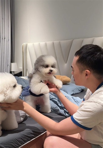 Chon Chi của tuiii có ai làm lại hămmm 🤣 #tinathaothi #tinathaothidaily