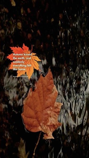 When Autumn Kissed The Earth 🍂 | Dil Ko Sukoon Mila ✨ #FallAesthetic #NatureShorts #AutumnColors