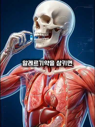 알레르기약의 뇌 침투와 그 효과