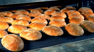 From Dough to Loaf: The Secrets of Massive Bread Production Plants