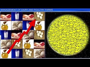 CBSE Class 12 Biology || Strategies for Enhancement In Food Production || Full Chapter || By Shiksha