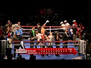 Brian Viloria derrota a Hernán Márquez