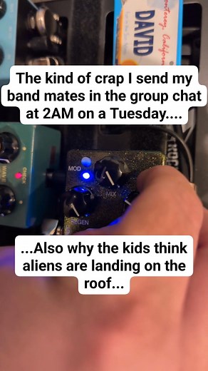 Love my Carbon Copy delay, not only does it do everything from slap back to ridiculous amounts of sweet sweet warm analog delay, the modulation is the best chorus I own. | David Dwyer