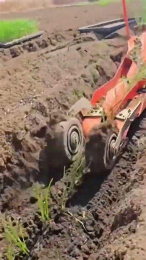 Techniques for planting spring onions using modern agricultural tools#farming #shorts