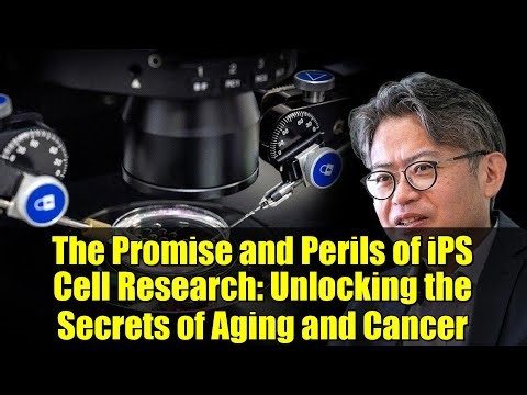 The Promise and Perils of iPS Cell Research: Unlocking the Secrets of Aging and Cancer