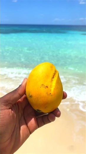 A bite at the beach in Saint-Marc Haiti! #videyopeyi #travel #explorehaiti