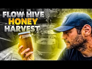 Flow Hive Honey Harvest - A Simple Step By Step Guide To Extracting Honey From A Flow Hive