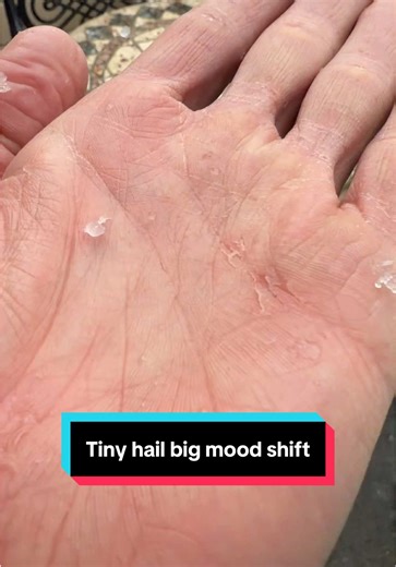 Walked out onto the patio and tiny hail is coming down like it owns the place. After barely seeing anything all winter along the Front Range, this feels almost disrespectful. Little ice pellets collecting, clouds rolling in, and I am out there in inside shoes like a genius. Catching my reflection mid chaos and laughing at how random it all is. Strange timing, but honestly I will take whatever winter wants to throw now.