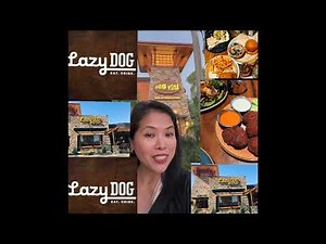 MY HONEST REVIEW FOR LAZY DOG RESTAURANT