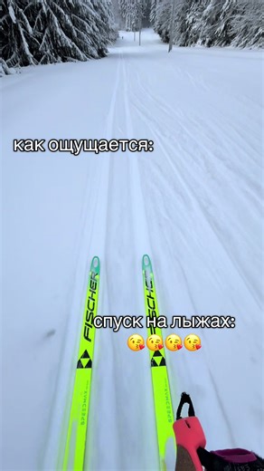 Exploring the Thrills of Roller Skiing