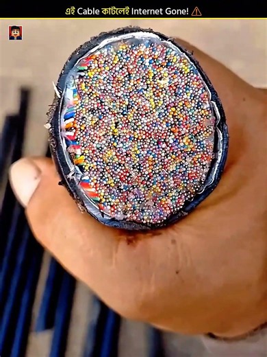 What Happens If a Fiber Cable Gets Cut? 😱