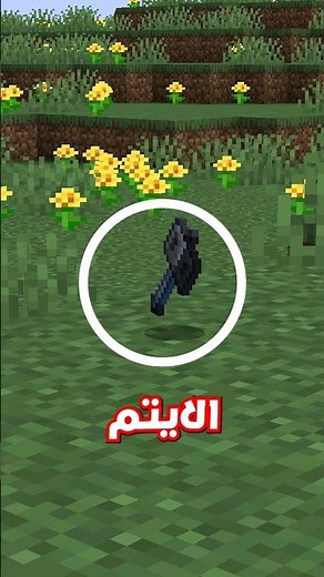 Minecraft New Version 🔥 #Minecraft #Minecraft_Craft #minecraft