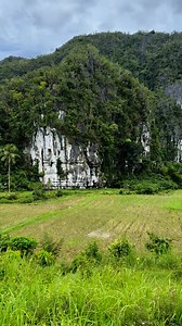 6K views · 26 reactions | Cleopatra’s Needle, Sabang, Palawan...