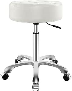 Rolling Stool with Wheels, Thick Cushion Heavy Duty Esthetician Hydraulic Chair Stool for Work Medical Tattoo Salon Office (White)