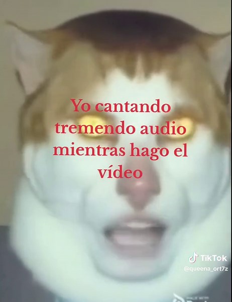 Videos de Multifandom Queena ♠️ (@queena_ort7z) con “original sound - Dormun”