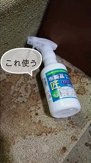 20年もののカーペットのシミ抜きチャレンジ