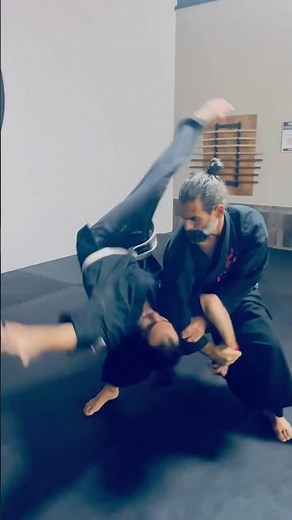 Aikido Martial Fusion Zenbu Dojo Techniques