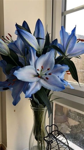 ari^ྀི on Instagram: "i lowk wanna insert THAT pic for reference😢 [credits to @/tyunbottomer on tt] #txt #tomorrowxtogether #tyunning #taehyun #hueningkai"