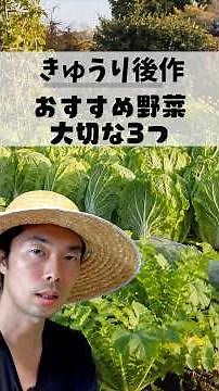 キュウリの跡地にそのまま植えると失敗します｜秋冬野菜を成功させる3つの鉄則 #家庭菜園 #夏野菜