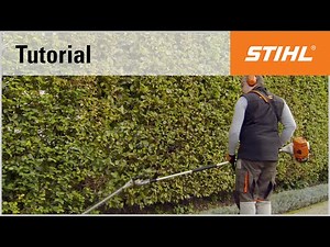 Petrol long-reach hedge trimmer cutting technique: vertical cutting with an angled cutter bar