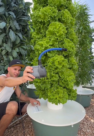 Essential Submersible Pump for Vertical Farming