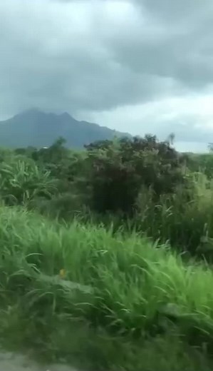 Chyn Cornelio (@chyn_11500)’s videos with Kiss the Rain - Elise Bechstein