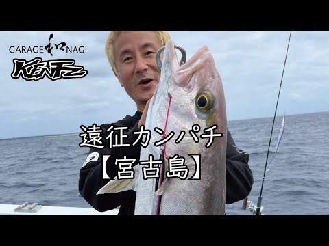 やっぱりカンパチが釣りたい②