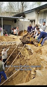 Learn about dragon blood plants #backyardgardening #gardeninglife #vegetablegardening #vegetablegarden #gardeningtips #gardeninglove #organicgardening #gardensofinstagram #gardenideas #urbangardening #gardeningistherapy #gardeninggoals #homegardening #gardeninspiration #lovegardening #gardeningisfun #countrygarden #veggiegarden #happygardening | Garden For Life