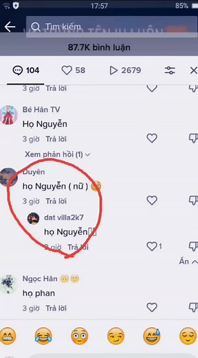 Exploring Nguyen's Social Media Profile Insights