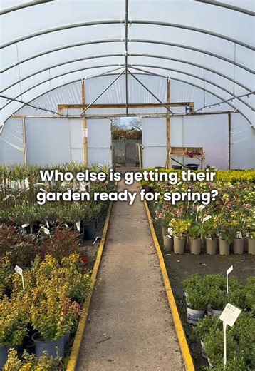 Spring is coming… whether we’re ready or not 🌿😂 Who’s started already? #gardening #gardenprep #gardentok #ukgardening #springgarden