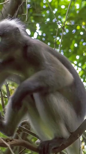 1.1M views · 14K reactions | Quick Line Comedy on Reels | Facebook