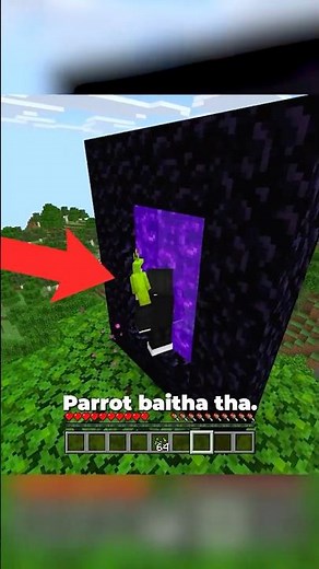 no portal for parrots??!!