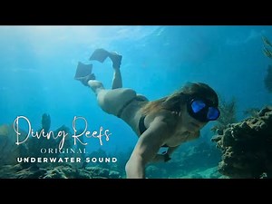 Diving Reefs in a Black Bikini | Underwater Sound | Pacific Reef | Biscayne National Park