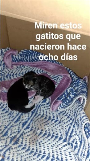 17 de febrero de 2026