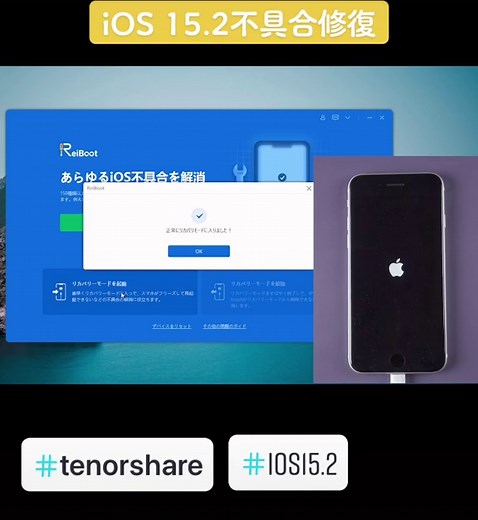 TikTokでtenorsharejapanさんをチェック！