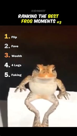 Ranking Best Frog Moments #3