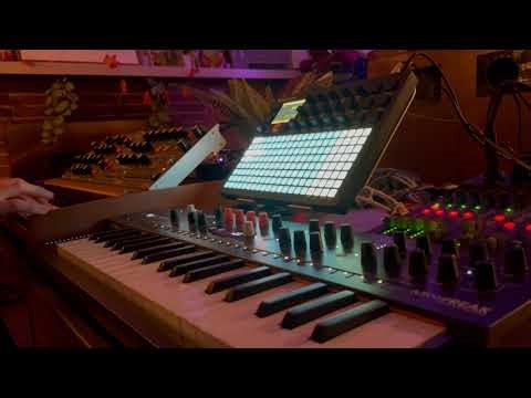 Nov 15 pt 2 || Electronic Synth Sketching w/ Behringer Poly D, Polyend Play, and Arturia Mini Freak