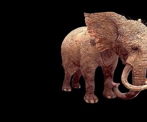 ArtStation - DOWNLOAD Elephant ANIMATED - BLENDER - 3DS MAX - CINEMA 4D - FBX - MAYA - UNITY - UNREAL | Game Assets