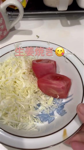 生姜焼き、豆腐味噌汁、キャベツ千切り、トマト🍅生姜焼きは醤油、砂糖、生姜チューブ、酒少々です。ワンちゃんトリミングしてきました。
