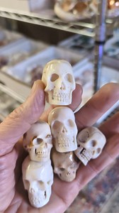 19 reactions | Hand carved in Indonesia, these skulls are carved from found water buffalo bone. Detailed and realistically carved, link in comments. | Lavish Earth | Facebook