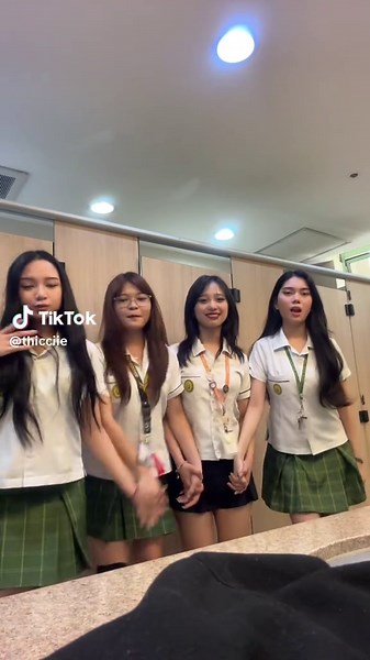 Cat Meow Sounds Compilation for Cat Lovers