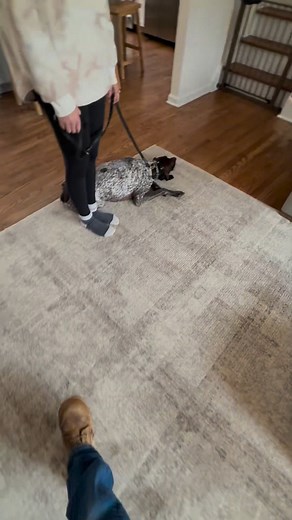 Lucky Dog Training LLC on Reels