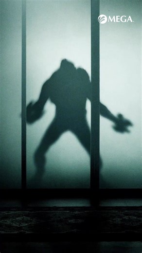 Una promoción que no te puedes perder:  Internet de 100 megas simétricos con fibra óptica* Netflix incluido* Instalación sin costo* ¡A UN SUPER PRECIO! ¡Contrata ya navega sin complicaciones con MEGA! | Megacable, Conectamos tu vida | Facebook